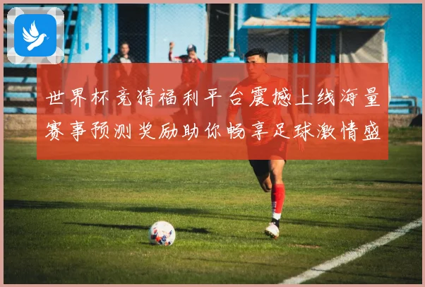 世界杯竞猜福利平台震撼上线海量赛事预测奖励助你畅享足球激情盛宴