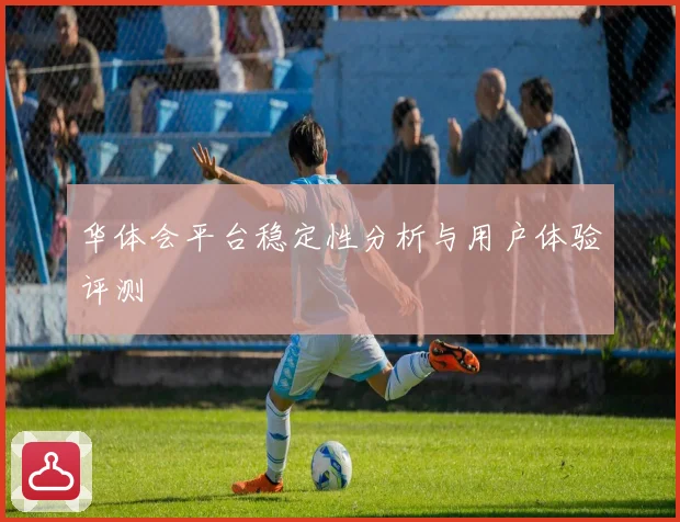 华体会平台稳定性分析与用户体验评测