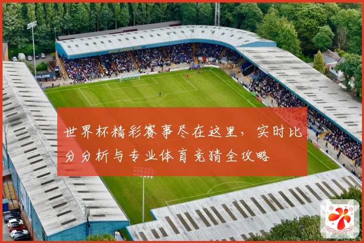 世界杯精彩赛事尽在这里，实时比分分析与专业体育竞猜全攻略